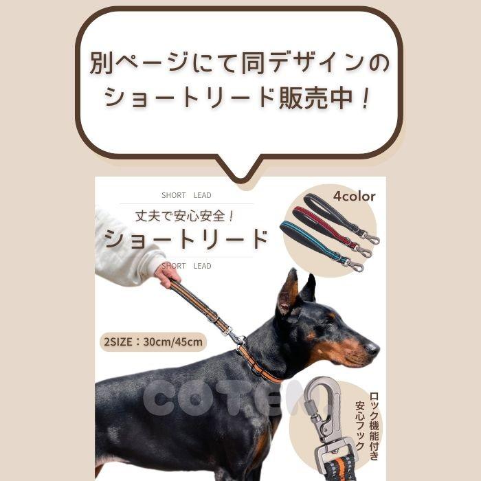 犬 首輪 ダブルリング カラー 軽い 丈夫 中型犬 大型犬 お散歩 安全 安心 夜間 光る 反射 可愛い おしゃれ ペット 犬用 COTEN | COTEN | 06
