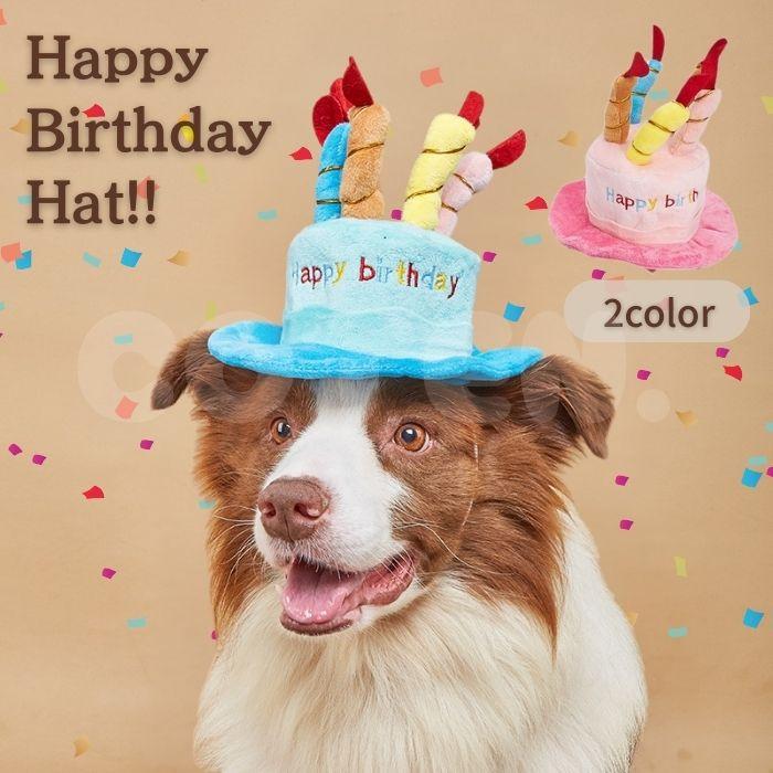 犬 猫 誕生日 帽子 パーティー グッズ ハット かぶり物 かぶりもの ケーキ バースデー お誕生日帽子 Happy birthday 小型犬 中型犬 大型犬 可愛い ペット COTEN | COTEN