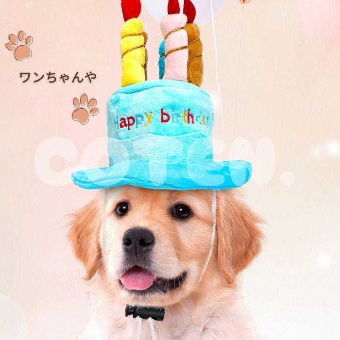 犬 猫 誕生日 帽子 パーティー グッズ ハット かぶり物 かぶりもの ケーキ バースデー お誕生日帽子 Happy birthday 小型犬 中型犬 大型犬 可愛い ペット COTEN | COTEN | 03