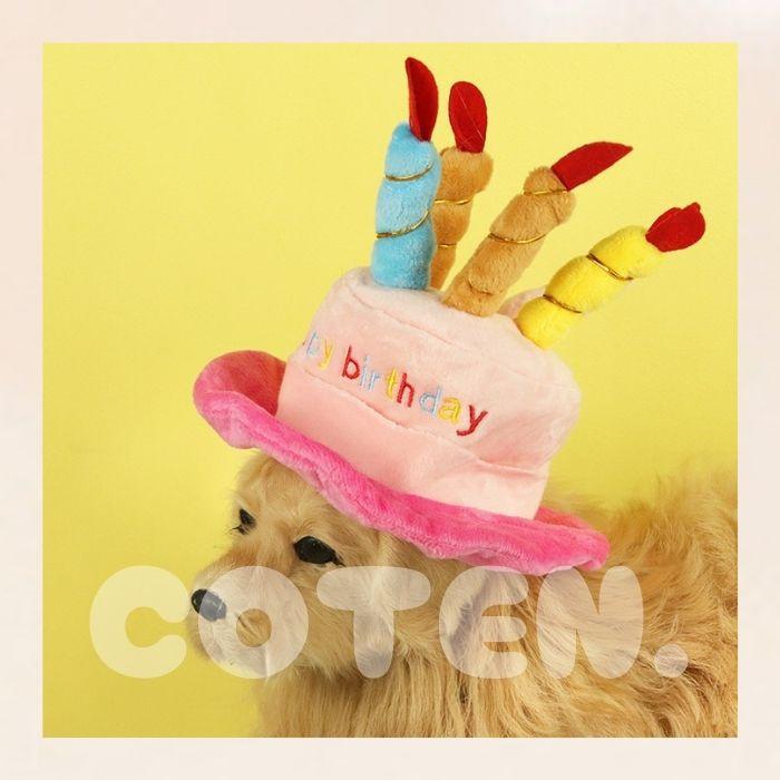 犬 猫 誕生日 帽子 パーティー グッズ ハット かぶり物 かぶりもの ケーキ バースデー お誕生日帽子 Happy birthday 小型犬 中型犬 大型犬 可愛い ペット COTEN | COTEN | 07