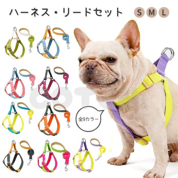 犬 ハーネス リード セット 小型犬 中型犬 大型犬 胴輪 おしゃれ 可愛い カラフル ハーネスリード ダブルリング 丈夫 2点セット COTEN | COTEN
