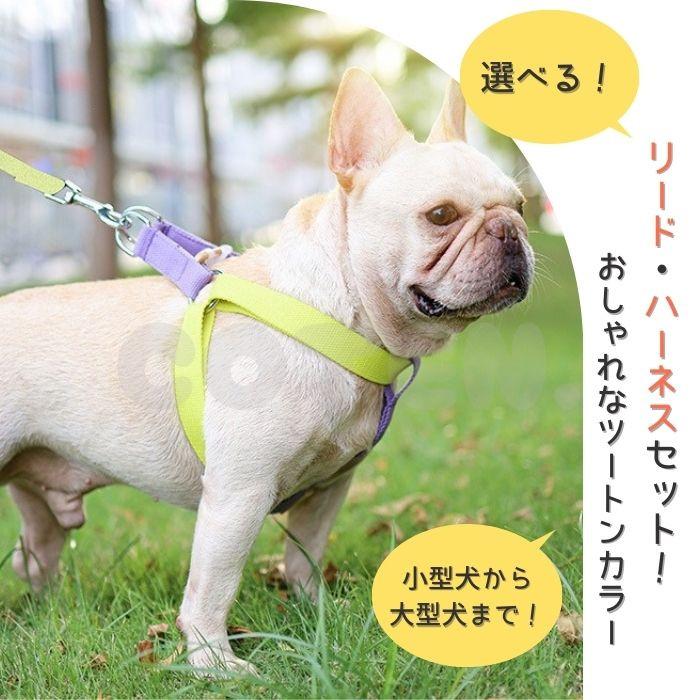 犬 ハーネス リード セット 小型犬 中型犬 大型犬 胴輪 おしゃれ 可愛い カラフル ハーネスリード ダブルリング 丈夫 2点セット COTEN | COTEN | 01