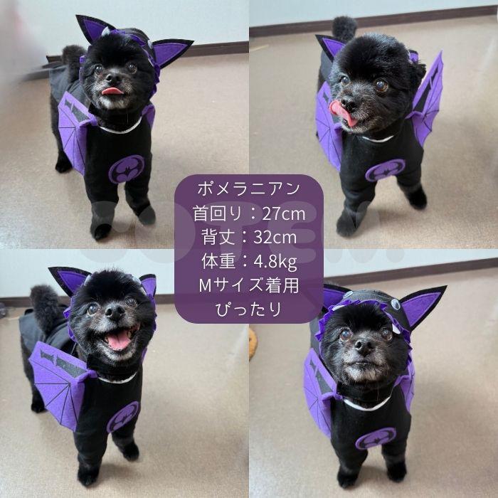 COTEN 犬 猫 ハロウィン かぼちゃ 悪魔 コスプレ 着ぐるみ