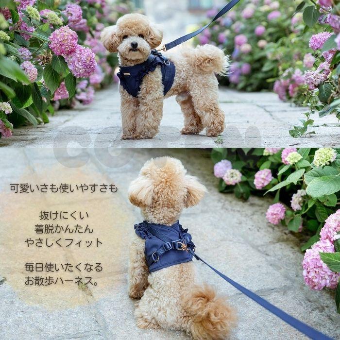 【販売記念セール3280→2990】犬 ハーネス リード セット 抜けにくい 小型犬 中型犬 フリル かわいい メッシュ 負担が少ない 胴輪 簡単装着 おしゃれ COTEN |  | 01