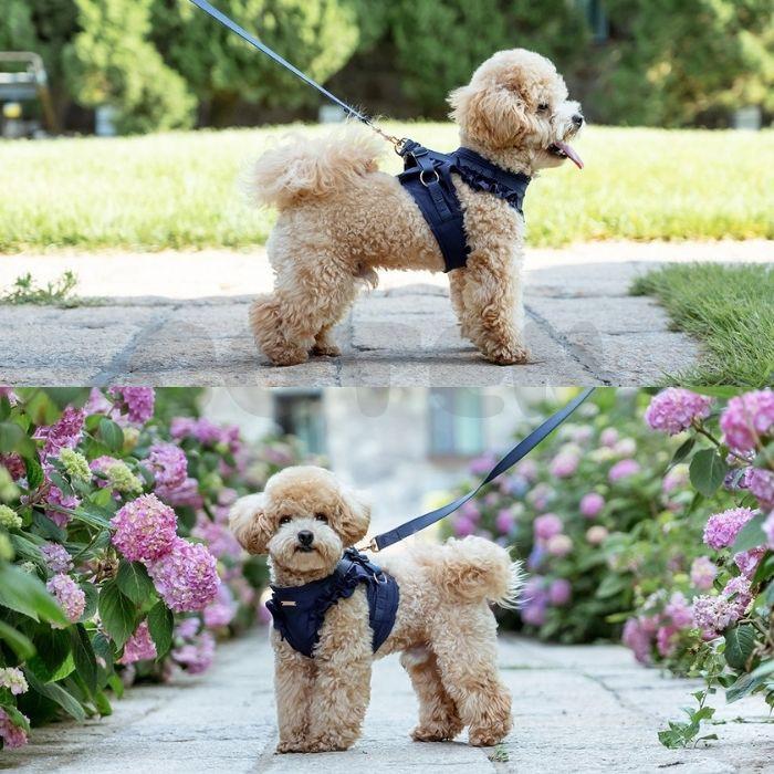 【販売記念セール3280→2990】犬 ハーネス リード セット 抜けにくい 小型犬 中型犬 フリル かわいい メッシュ 負担が少ない 胴輪 簡単装着 おしゃれ COTEN |  | 07