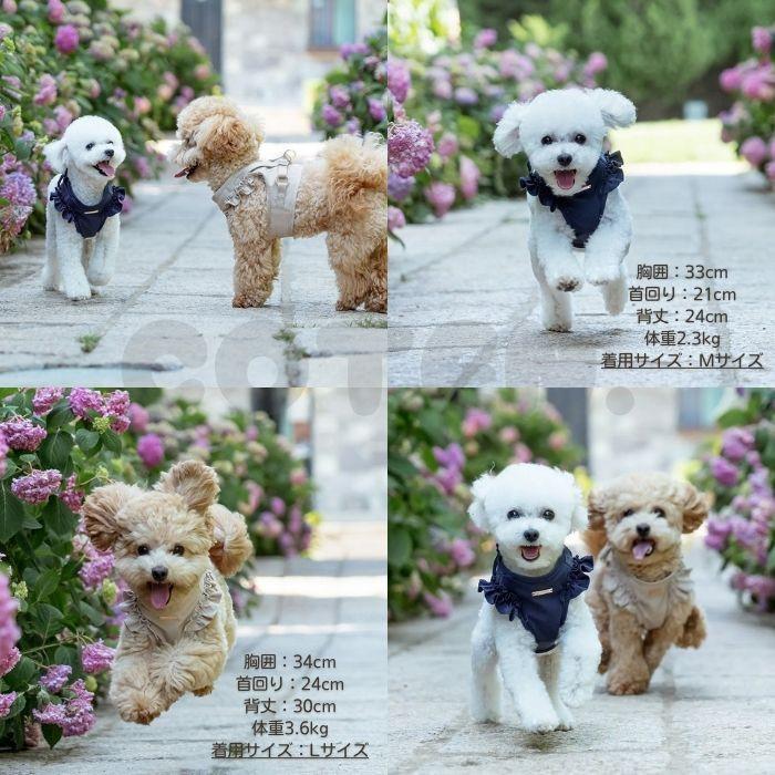 【販売記念セール3280→2990】犬 ハーネス リード セット 抜けにくい 小型犬 中型犬 フリル かわいい メッシュ 負担が少ない 胴輪 簡単装着 おしゃれ COTEN |  | 08