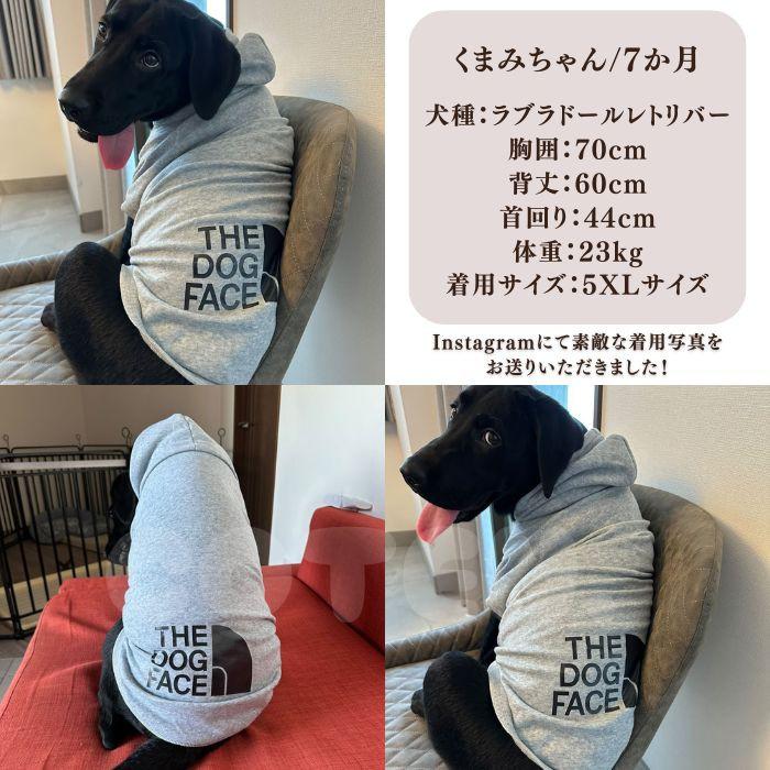 犬服 大型犬 中型犬 小型犬 ドッグウェア  トレーナー ペット ワンちゃん フード付き お出かけ お散歩 おしゃれ 防寒 可愛い あったかい COTEN | COTEN | 09