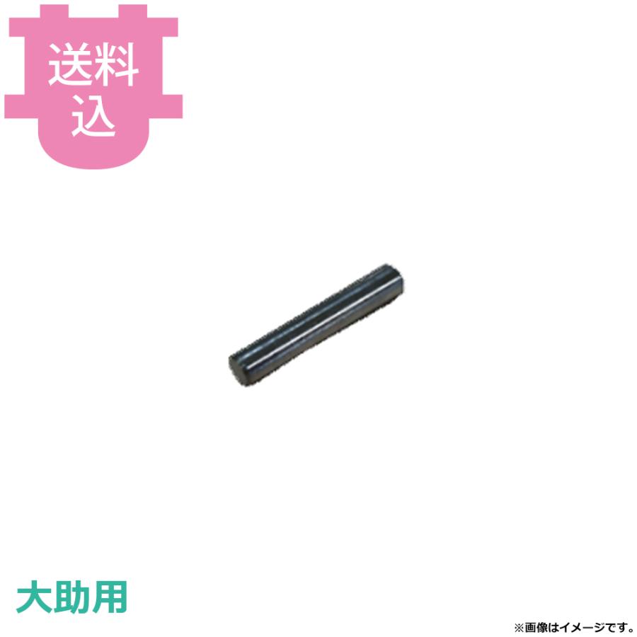 アストラ KA-750PM、720P、730M 大助用部品 固定ピン用 挿入ピン IP 【送料込、代引不可】 | 