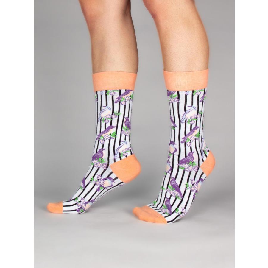 CotonDoux（コトンドゥ） ソックス 靴下 くつした メンズ 男女兼用 柄 ポップ 可愛い オシャレ お洒落 かわいい 鳥柄  s42611 |  | 04