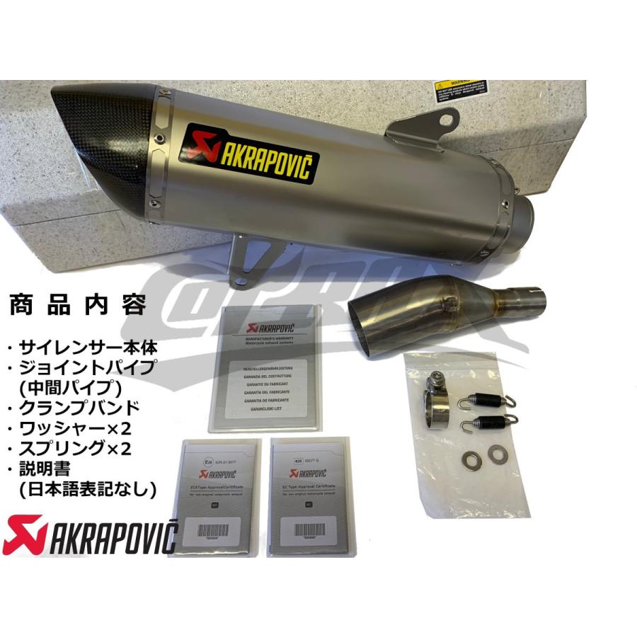 AKRAPOVIC】ヘキサゴナルスリップオンライン ステンレスマフラー AKRAPOVIC】ヘキサゴナルスリップオンライン ステンレスマフラー
