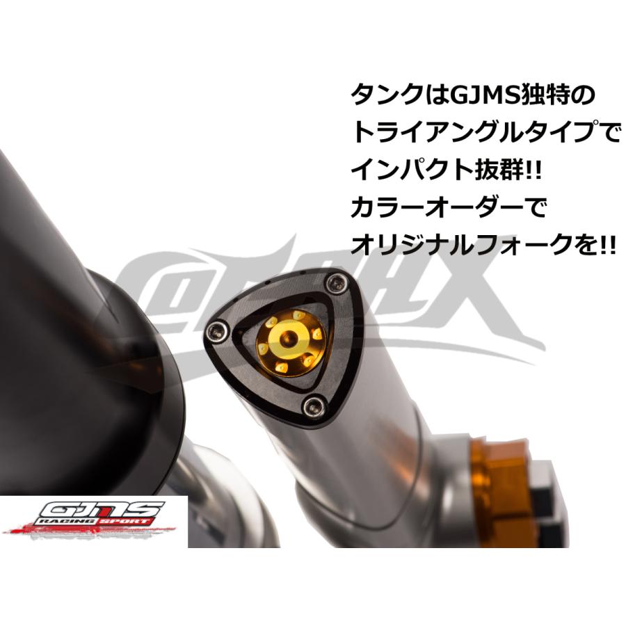 GJMS】FS-X倒立フロントフォーク 最上級 カラーオーダー品 受注 GJMS】FS-X倒立フロントフォーク 最上級 カラーオーダー品 受注