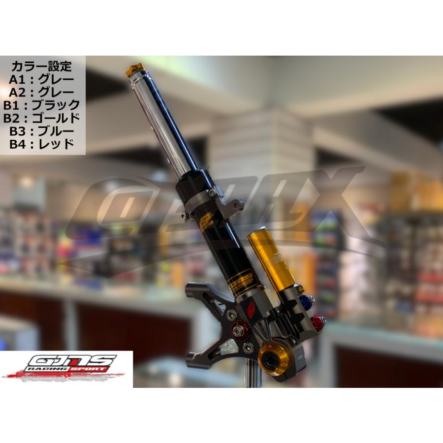GJMS】TCD-2000PROフロントフォーク カラーオーダー品 受注発注品