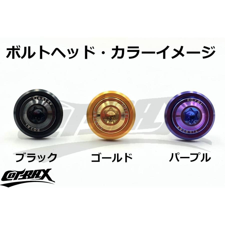 COTRAX】ROYAL 64チタンナンバーボルト 全3色 2個セット M6×15mm SF