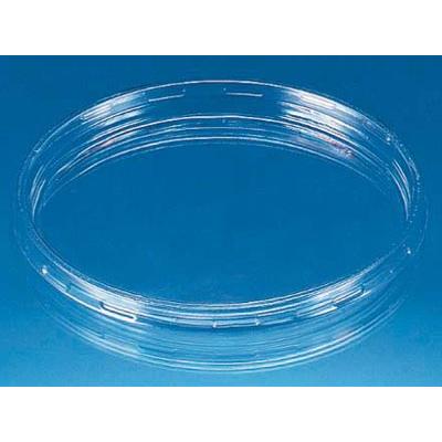 クリーンカップ蓋 クリーンカップ 60 TCL 蓋 (リスパック) | 食品容器販売の