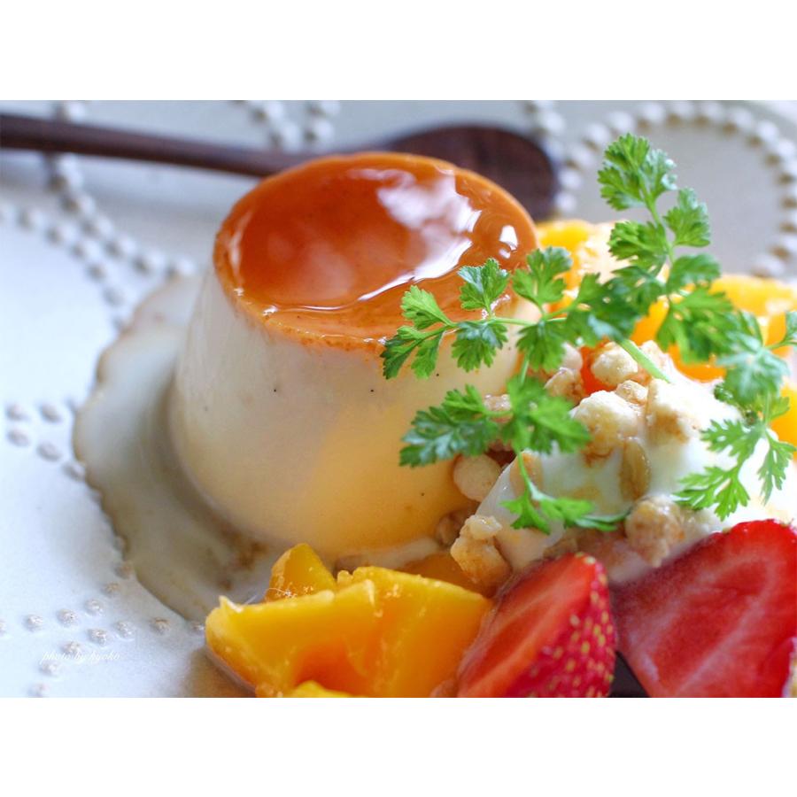 cotta（コッタ） オーガニックバニラビーンズペースト 65g : cotta
