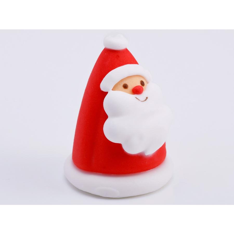 【冷蔵便】タイニーサンタ | cotta | 02