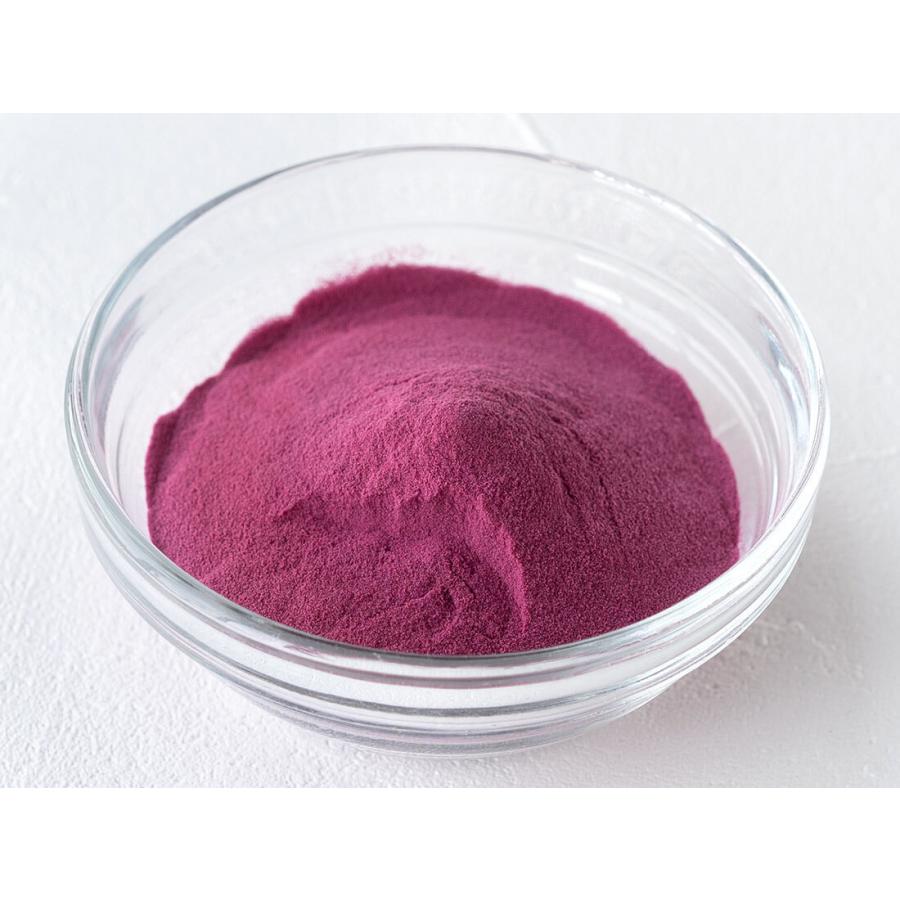 セール価格 佐藤食品 フルーツパウダー ブルーベリー 100g Riosmauricio Com