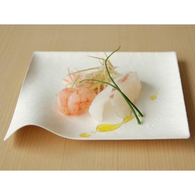 WASARA 角皿(中) 100枚入 | cotta | 01