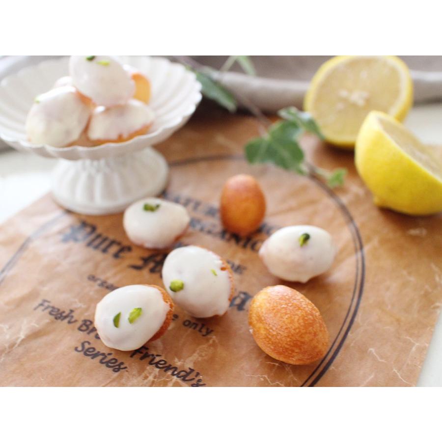 ミニレモン型(12個取) | cotta | 03