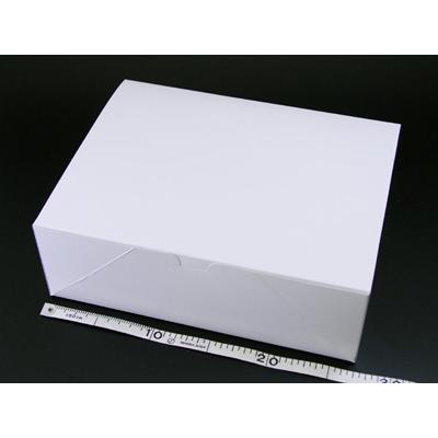 [ケース販売]洋生カートン　５号