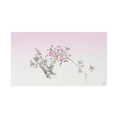 ケース販売]掛紙 桜 小 【公式通販】