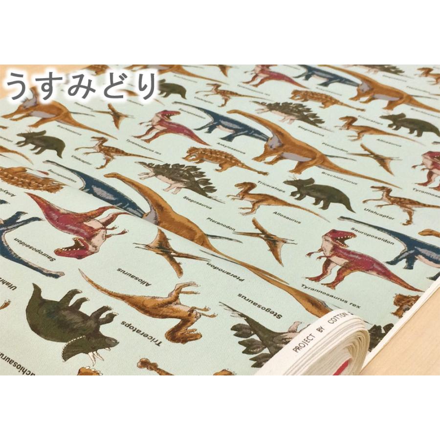 恐竜柄 生地 恐竜 布 リアルなきょうりゅう 綿 ツイル かっこいい 男の子 コットンこばやし 生地屋 Kts6036 コットンハウスセシール 生地 通販 通販 Yahoo ショッピング