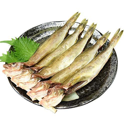 北の商店こまい 北海道産 約1 05kg 約70g 15 大きな 干物 一夜干し 丸干し かんかい 無添加 珍味 選べる干物 新作続