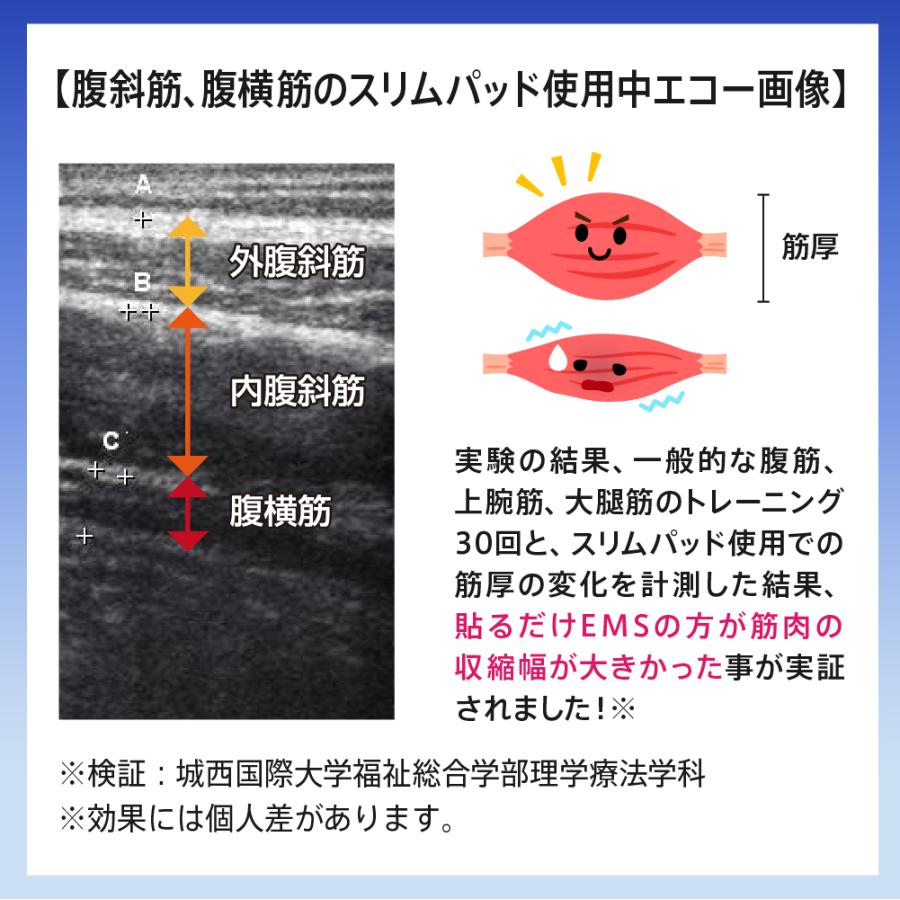 メーカー直販】スリムパッドフィットデュアルセット SLIMPAD