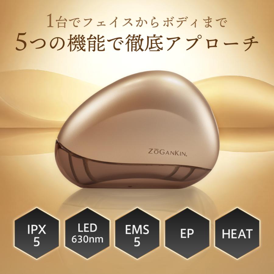 メーカー直販】ZOGANKIN KASSA（ゾーガンキン カッサ） : クルールラボ