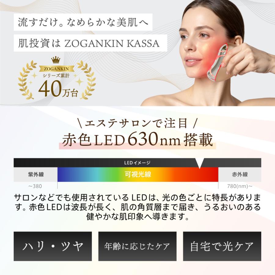 メーカー直販】ZOGANKIN KASSA（ゾーガンキン カッサ） : クルールラボ