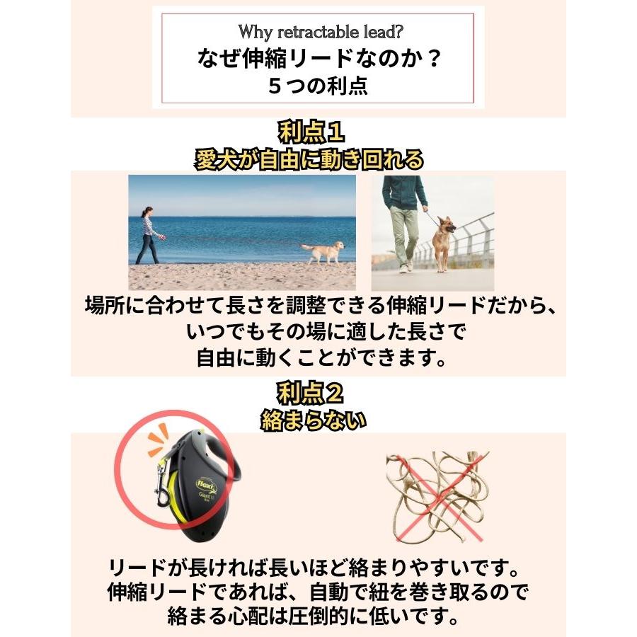 フレキシリード クラシック 正規代理店 ２年保証 8m 中型犬 Mサイズ(20kg未満) 伸縮リード コードタイプ フレキシ リード Flexi New Classic ドイツ製 | flexi | 07