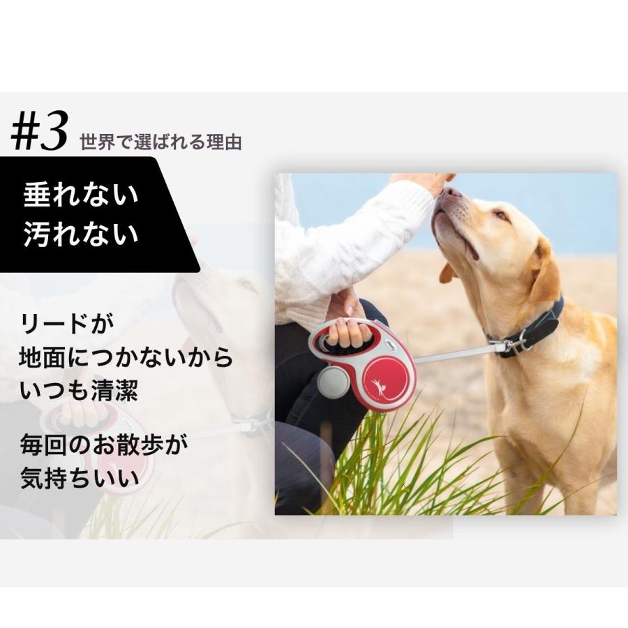 flexi（フレキシ） フレキシリード クラシック 正規代理店 2年保証 5m