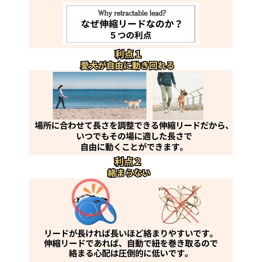 フレキシリード クラシック 正規代理店 ２年保証 3m 小型犬 XSサイズ(8kg未満) 伸縮リード コードタイプ フレキシ リード Flexi New Classic ドイツ製 | flexi | 07