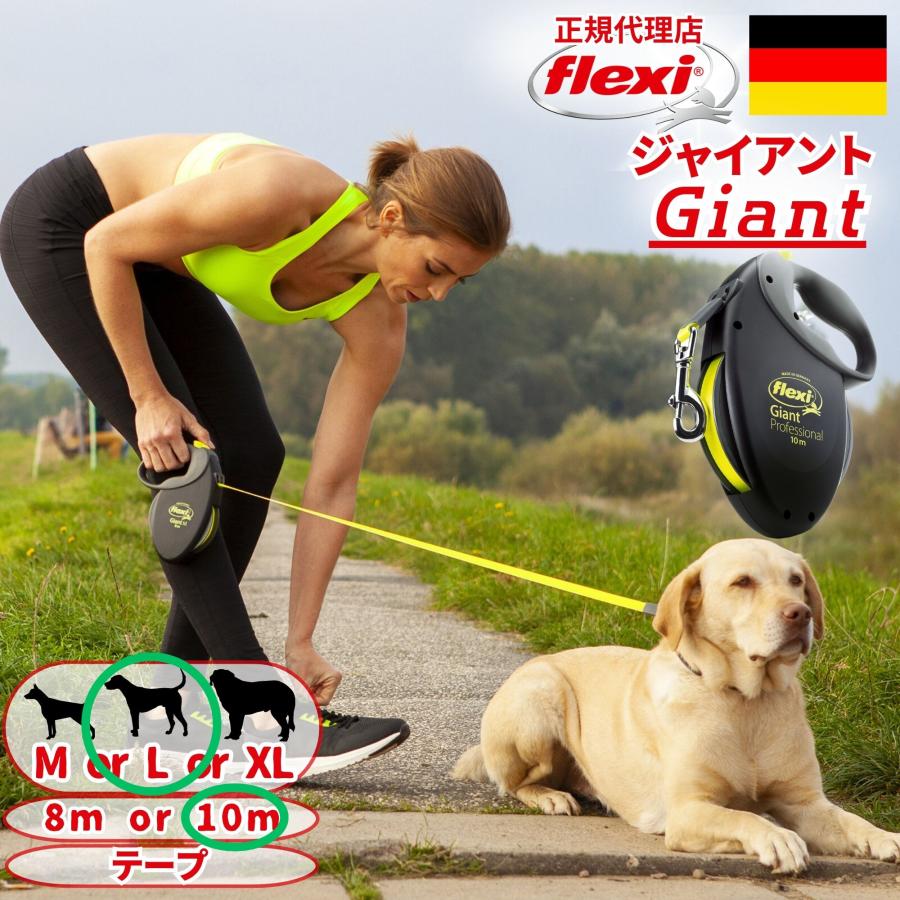 flexi giant テープリード 10m L flexi（フレキシ） フレキシリード ジャイアント 正規代理店 2年保証