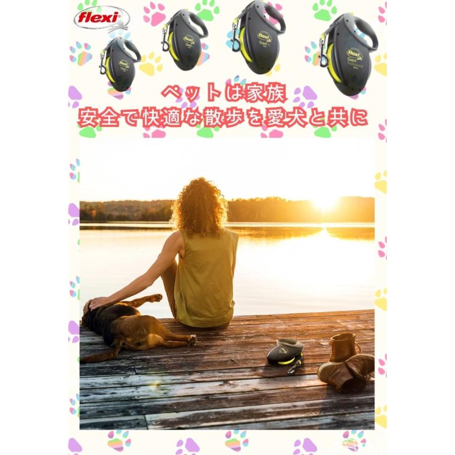 flexi（フレキシ） フレキシリード ジャイアント 正規代理店 2年保証