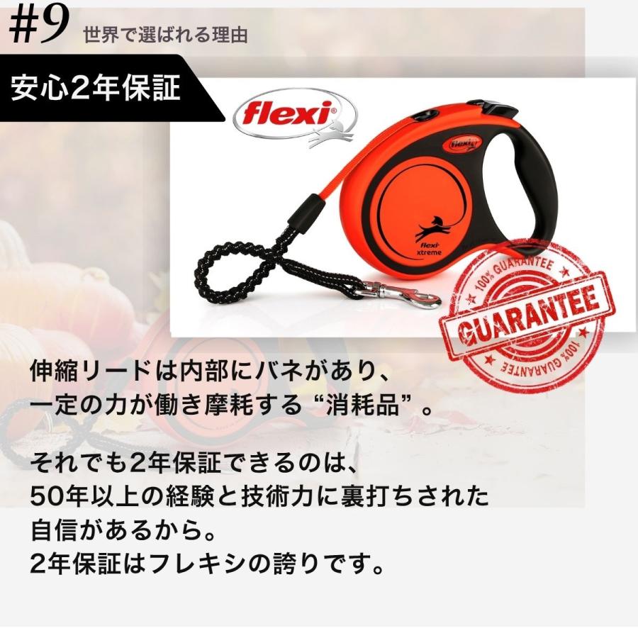 flexi（フレキシ） フレキシリード ジャイアント 正規代理店 2年保証