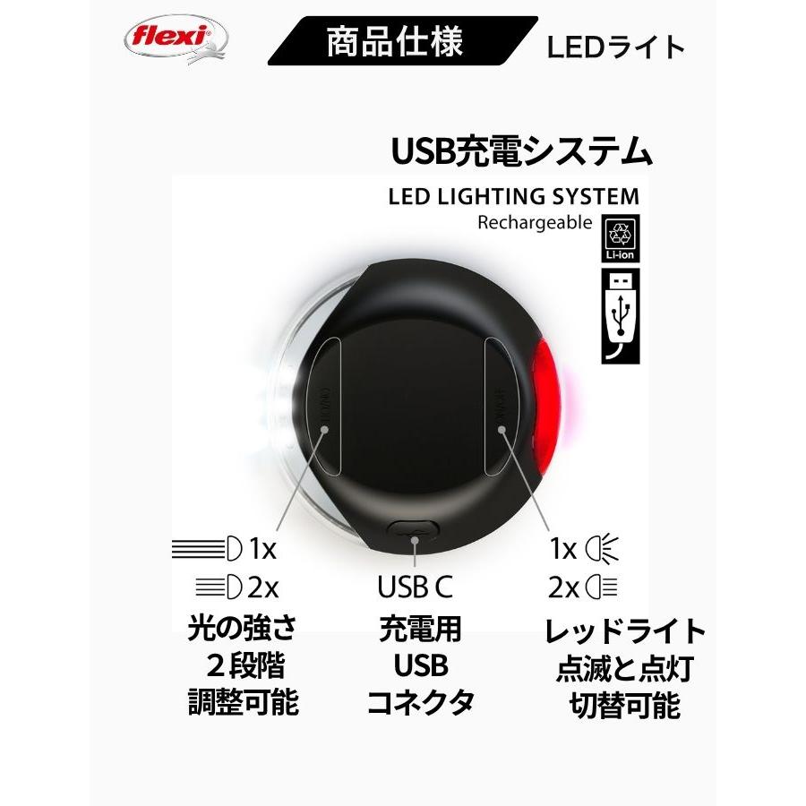 フレキシリード LED ライト 2色 2段階調整 点滅機能有り ブラック グレイ フレキシ フレキシライト Flexi LED Light Black Gray ドイツ 便利 明るい　爆買 | flexi | 08