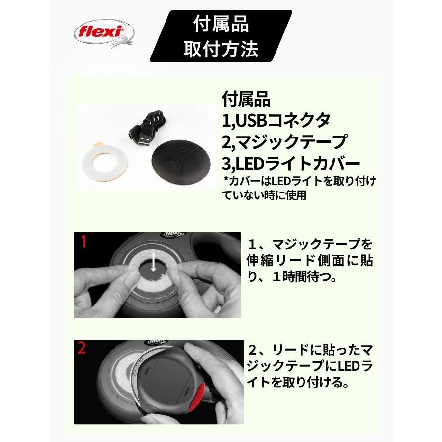 フレキシリード LED ライト 2色 2段階調整 点滅機能有り ブラック グレイ フレキシ フレキシライト Flexi LED Light Black Gray ドイツ 便利 明るい　爆買 | flexi | 10
