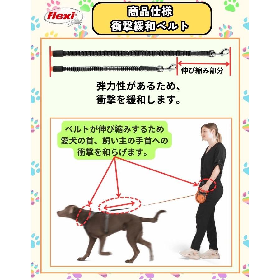 flexi（フレキシ） フレキシリード エクストリーム 正規代理店 2年