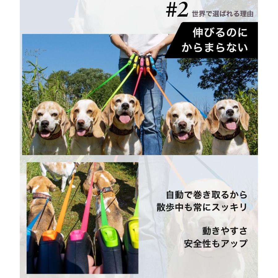flexi（フレキシ） フレキシリード エクストリーム 正規代理店 2年