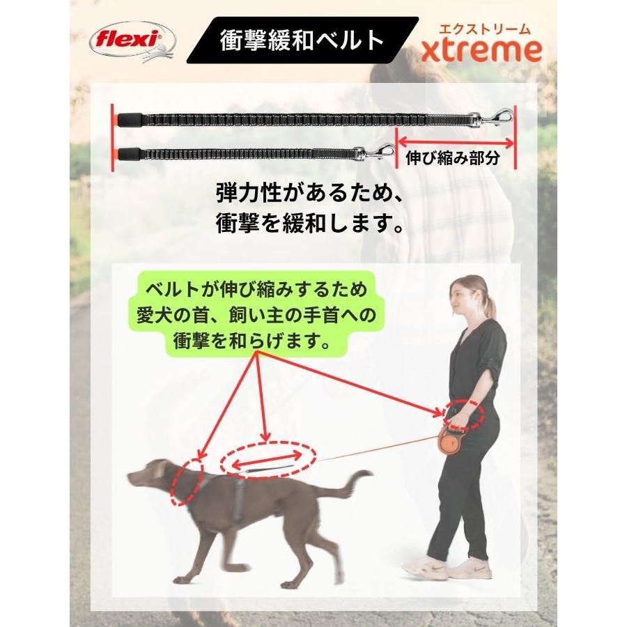 flexi（フレキシ） フレキシリード エクストリーム 正規代理店 2年