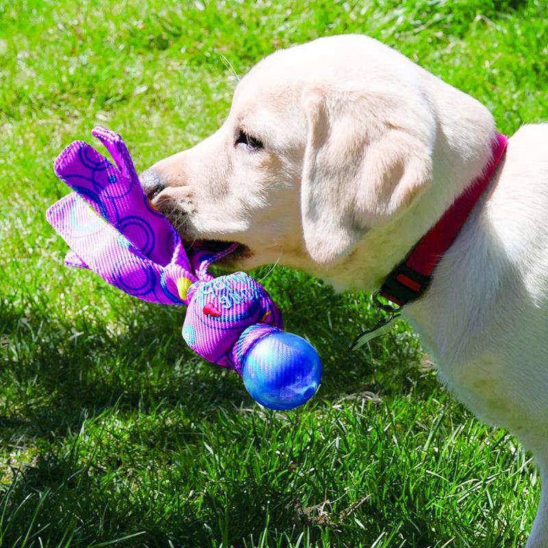 【Lサイズ】コングウァバ コスモス 犬のおもちゃ 人気のコング ワバ シリーズ もってこい遊び フェッチ レトリーブ用おもちゃ 米国Kong社 並行輸入品｜countryfield｜05