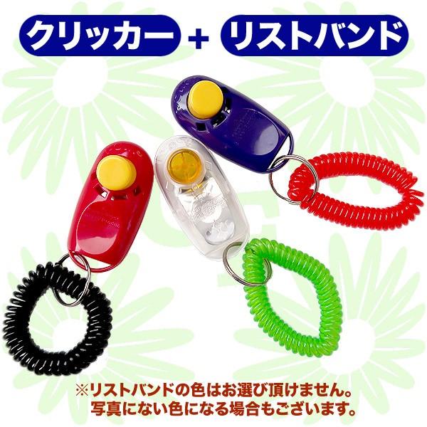 【クリッカー＆リストバンド】カレンプライヤー アイクリッククリッカー + リストバンド クリッカートレーニング用 i-Click Clicker メール便送料無料｜countryfield