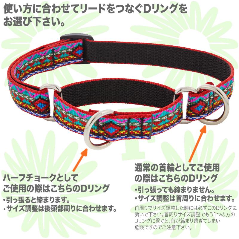 1 9cmマーチンゲール首輪 Mサイズ 36 51cm ルパイン ハーフチョーク首輪 Lupine Martingale Collar 3 4 メール便送料無料 Lp 34cc M Country Field 通販 Yahoo ショッピング