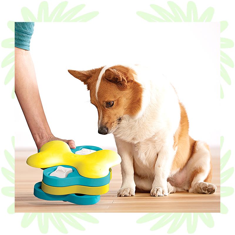 売りつくし!ニーナ オットソン・ドッグトルネード・犬の知育玩具