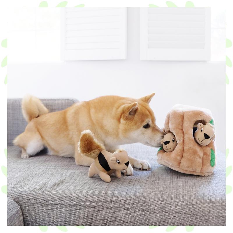 Mサイズ ハイド ア スクワール 犬の知育玩具 りす ぬいぐるみ取出し 犬の知育トイ 知育おもちゃ アウトワードハウンド ハイドアンドシーク Oh Hidetoy M Country Field 通販 Yahoo ショッピング