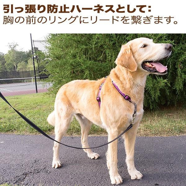 【3機能ハーネス・ケース無し】3in1ハーネス・引っ張り防止ハーネス・犬用シートベルト・通常ハーネス・PetSafeの高機能ハーネス 車安全グッズ メール便送料無料｜countryfield｜04