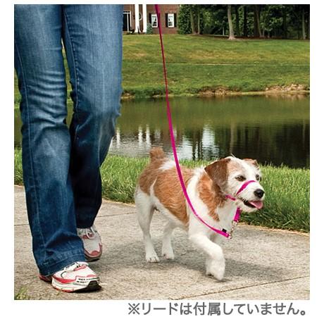 【単品・ケース無し・説明書無し】ジェントルリーダー単品  PetSafe(旧Premier社)の引張り防止ヘッドカラー 小型犬、中型犬、大型犬 メール便送料無料｜countryfield｜02