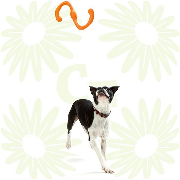 Sサイズ ウエストポウ West Paw 社 ブーミ Sサイズ ゾゴフレックス Zogoflex 素材 引っ張りっこタグ用犬のおもちゃ Made In Usa タグトイ Wp Bumi S Country Field 通販 Yahoo ショッピング