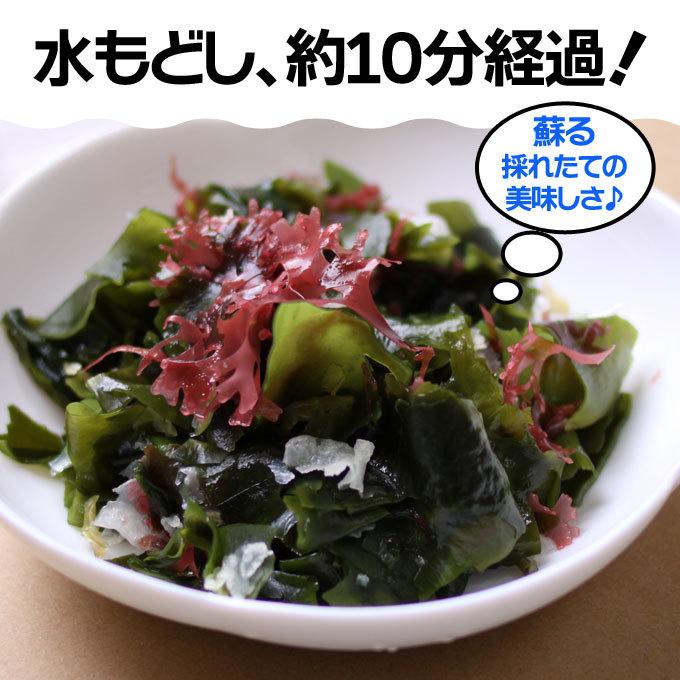 海藻サラダ 乾燥 前島食品 8g ×10袋セット 茎わかめ わかめ めかぶ
